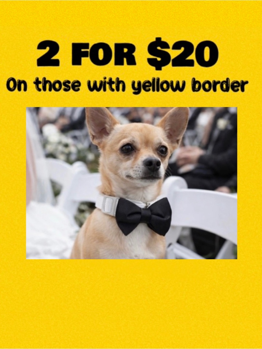 🪢 Doghaus Wedding Formal Chic Satin Polka Dot Bow Tie Dog Collar NWT Sml  8- 12”